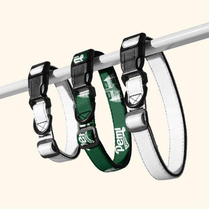 Dog Collar