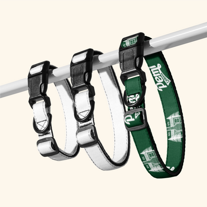 Dog Collar
